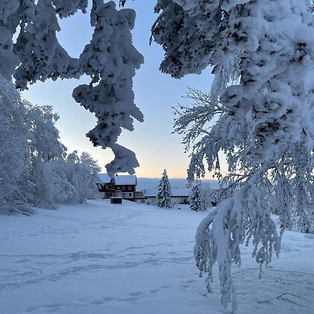 Gemuetliche Ferienwohnung Harz Braunlage Hohegeiss ภายนอก รูปภาพ