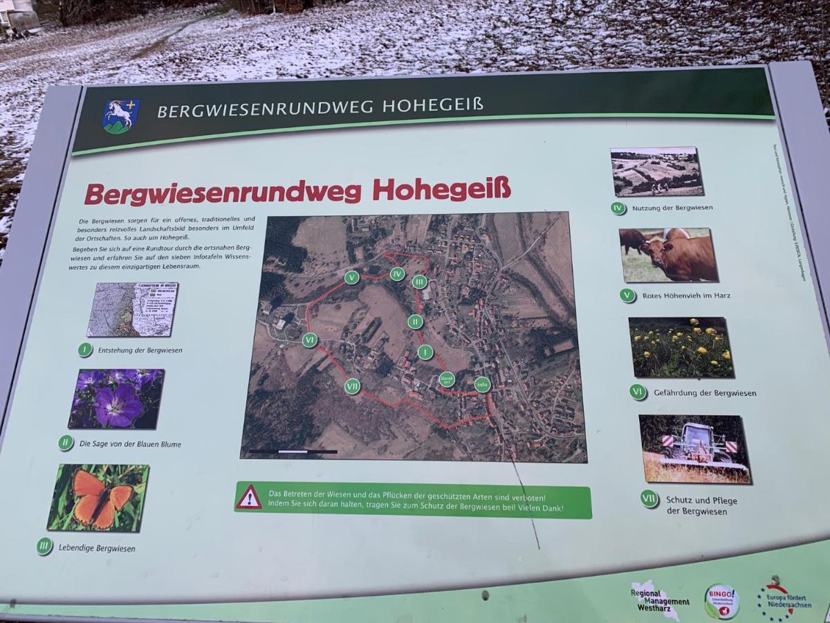 Gemuetliche Ferienwohnung Harz Braunlage Hohegeiss ภายนอก รูปภาพ