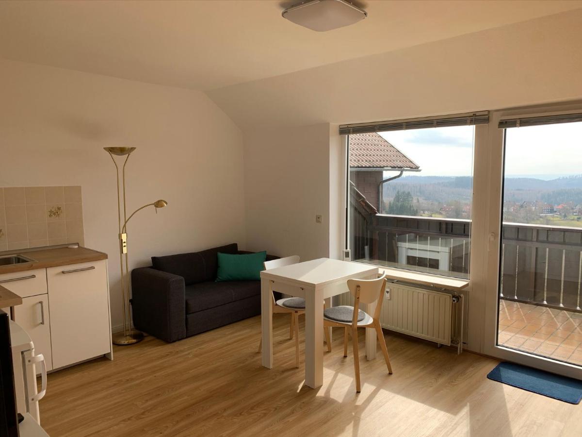 Gemuetliche Ferienwohnung Harz Braunlage Hohegeiss ภายนอก รูปภาพ