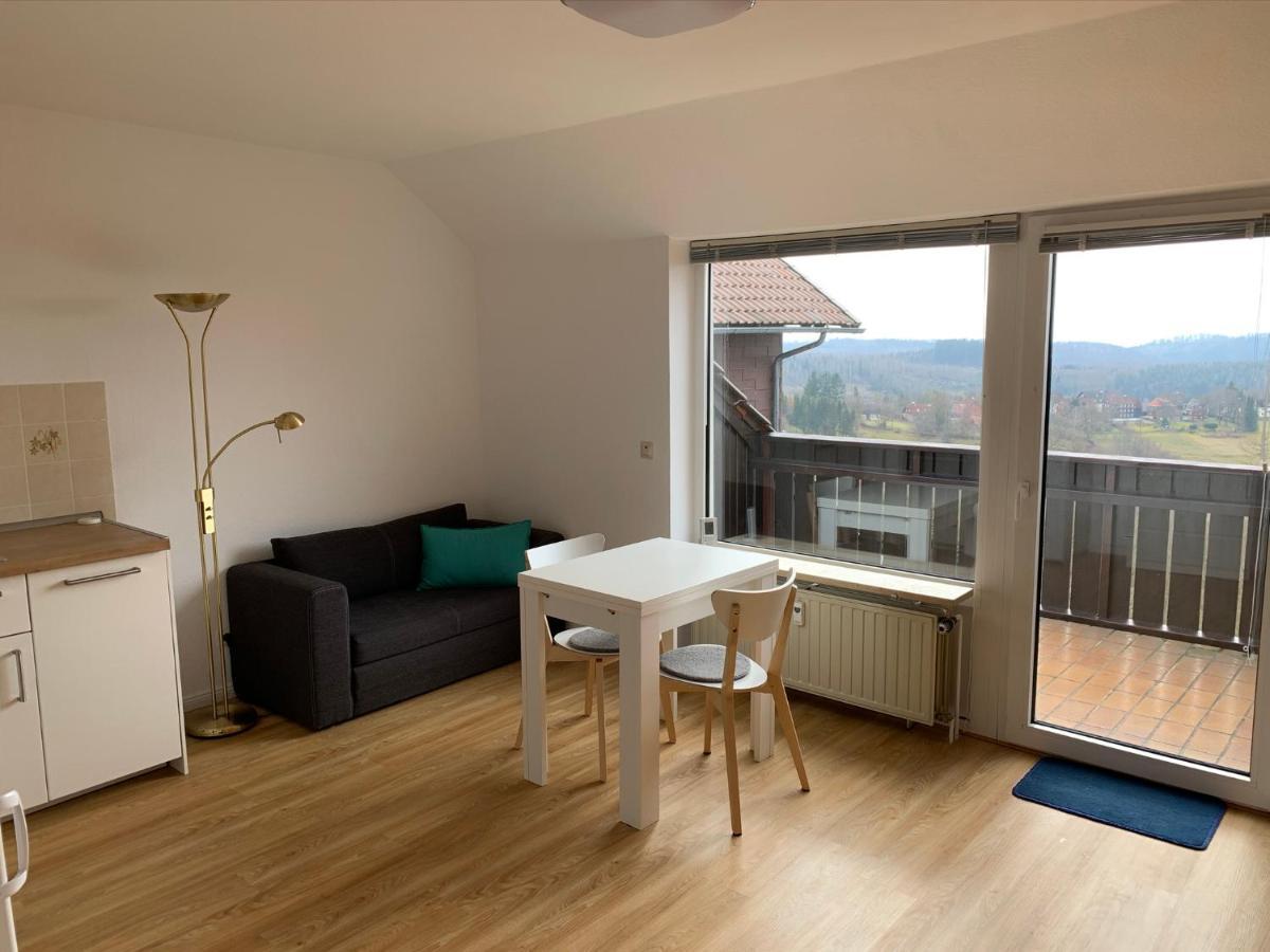 Gemuetliche Ferienwohnung Harz Braunlage Hohegeiss ภายนอก รูปภาพ