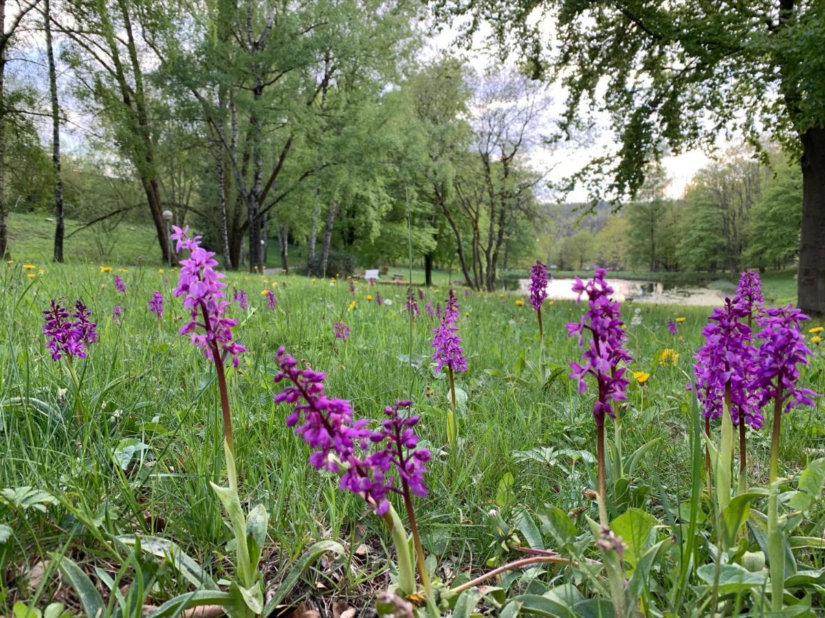 Gemuetliche Ferienwohnung Harz Braunlage Hohegeiss ภายนอก รูปภาพ