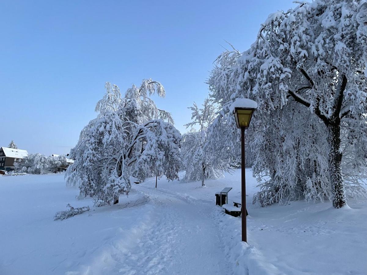 Gemuetliche Ferienwohnung Harz Braunlage Hohegeiss ภายนอก รูปภาพ