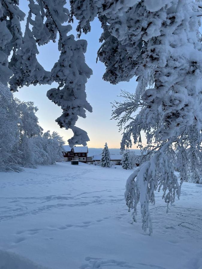 Gemuetliche Ferienwohnung Harz Braunlage Hohegeiss ภายนอก รูปภาพ