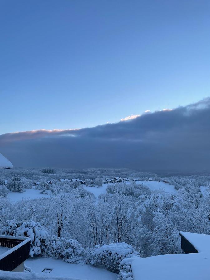 Gemuetliche Ferienwohnung Harz Braunlage Hohegeiss ภายนอก รูปภาพ