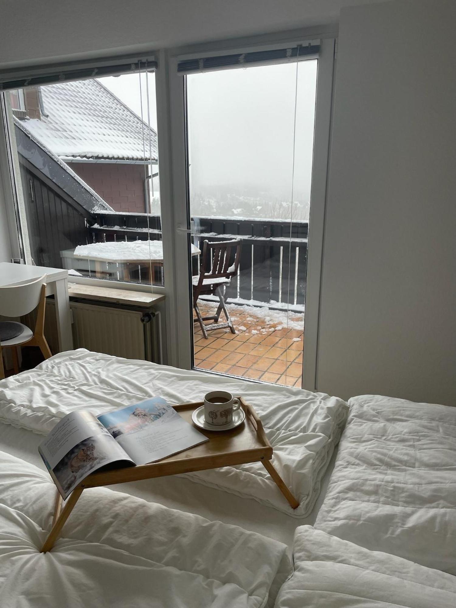 Gemuetliche Ferienwohnung Harz Braunlage Hohegeiss ภายนอก รูปภาพ